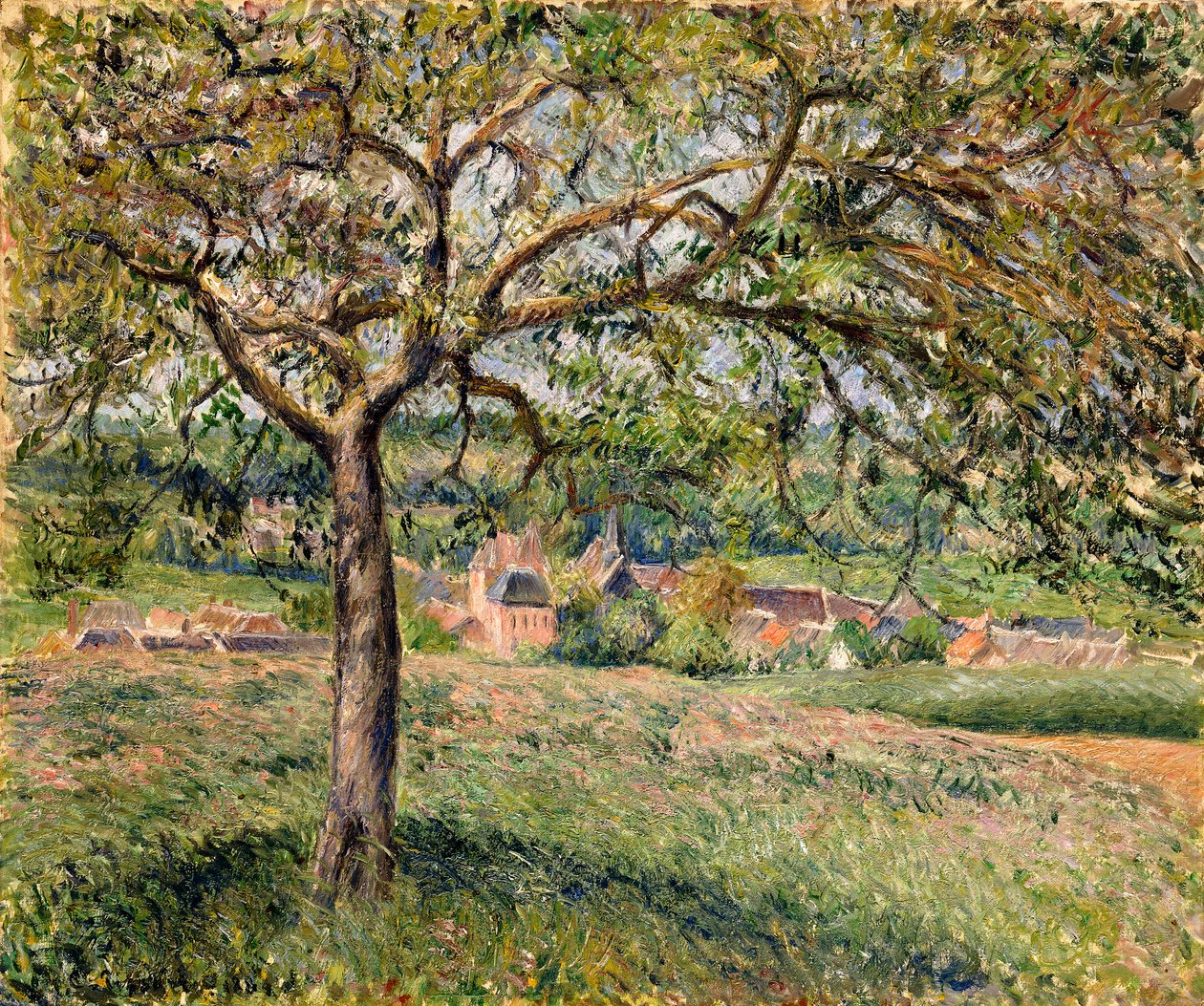 Jabloň v Eragny, 1884 od Camille Jacob Pissarro