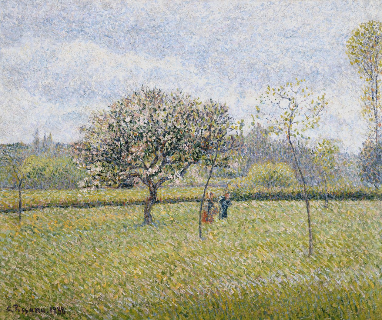 Jabloň v květu v Eragny; Pommier en Fleur a Eragny, 1888 od Camille Jacob Pissarro