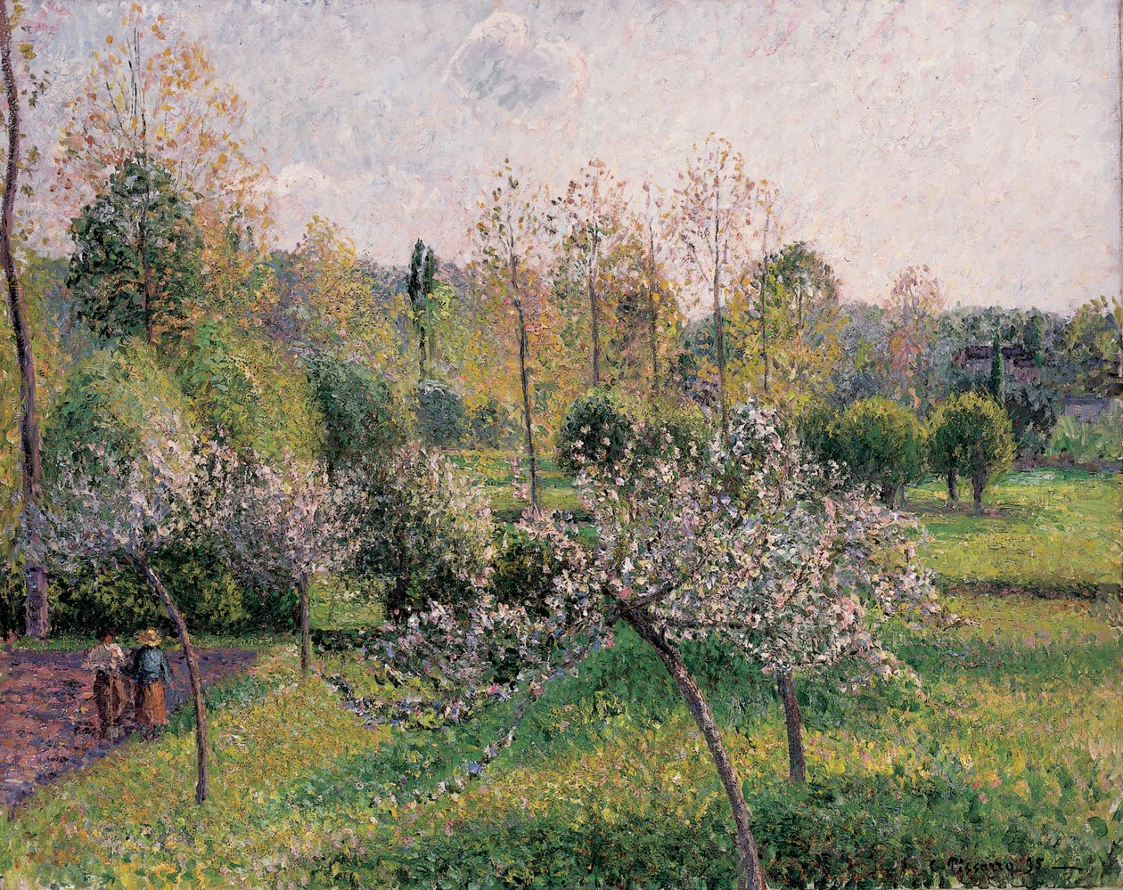 Apple Trees in Blossom, Eragny, 1895 od Camille Jacob Pissarro