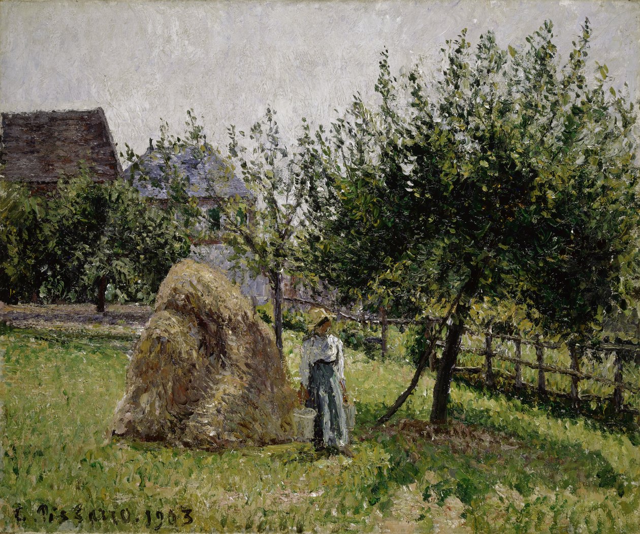 Jabloně v Eragny, slunečné ráno, 1903 od Camille Jacob Pissarro