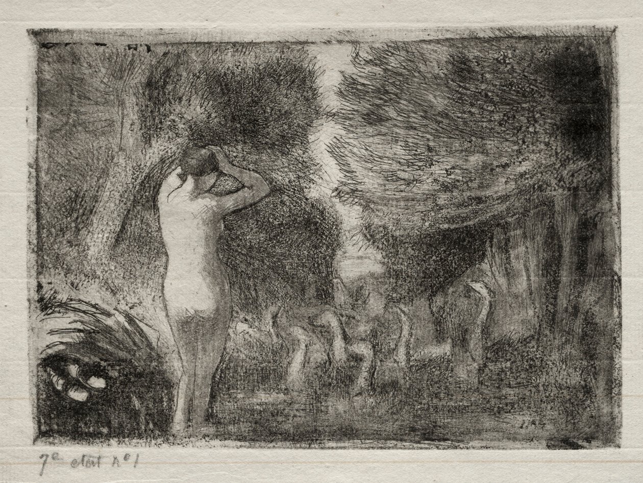 Lapač a husy, 1895. od Camille Jacob Pissarro