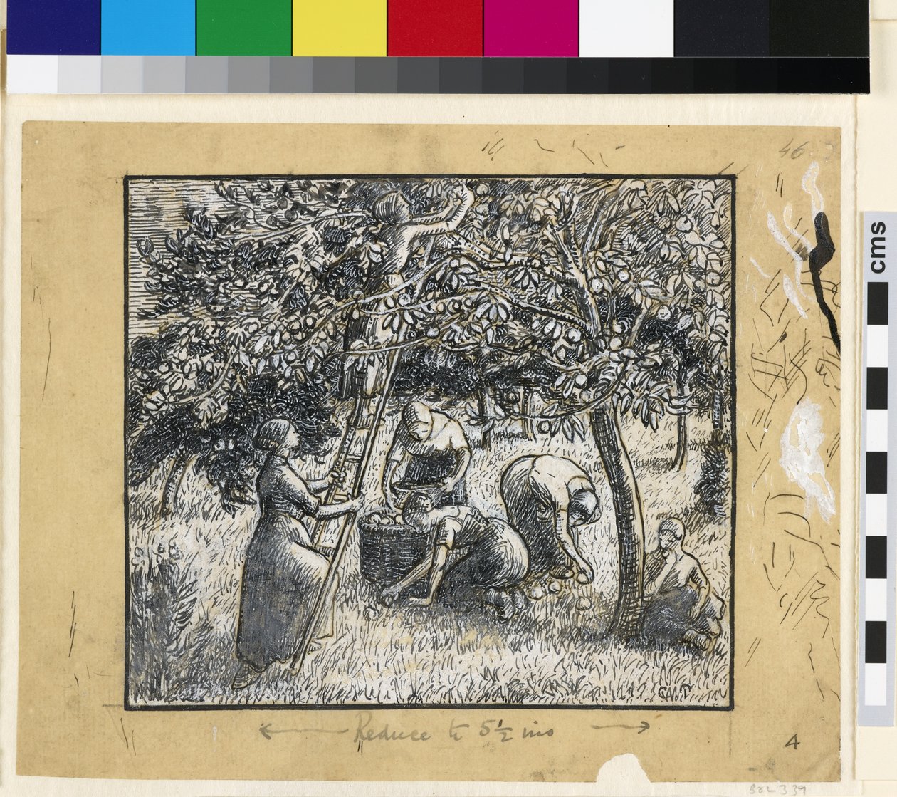 Kompoziční studie rolnic sklízejících jablka (pero a indický inkoust s čínskou bílou na papíře) od Camille Jacob Pissarro