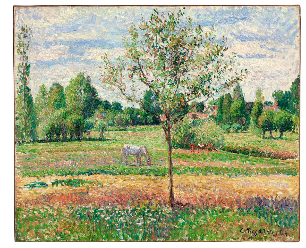 Louka s šedým koněm, Eragny, 1893 od Camille Jacob Pissarro