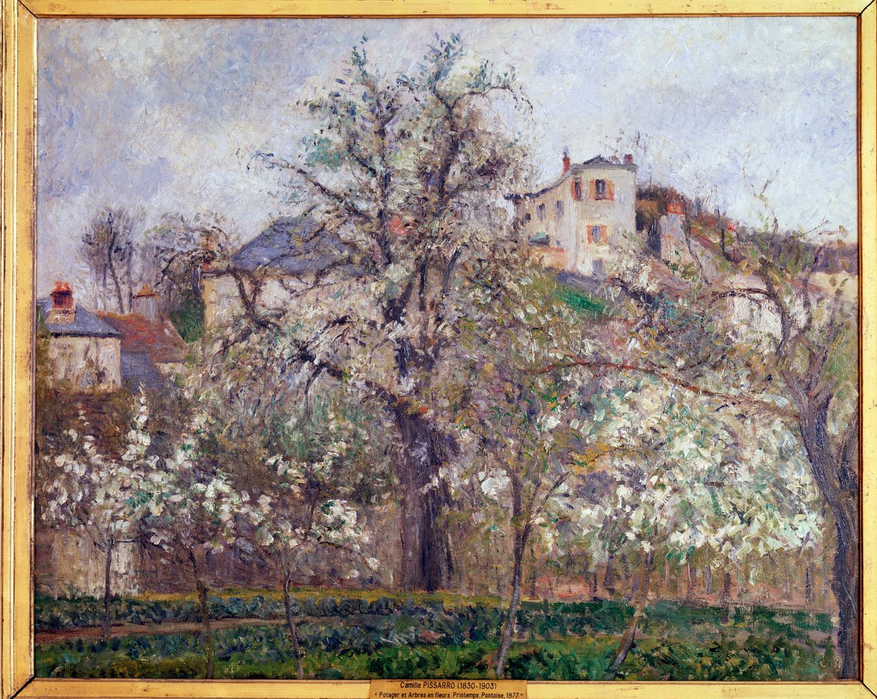Jaro, švestkové květy v Pontoise - olej na plátně od Camille Jacob Pissarro