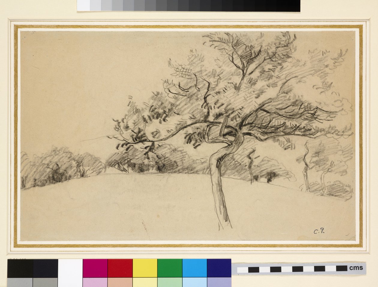 Studie sadu v Eragny-sur-Epte se stromem v popředí (černá křída na papíře) od Camille Jacob Pissarro