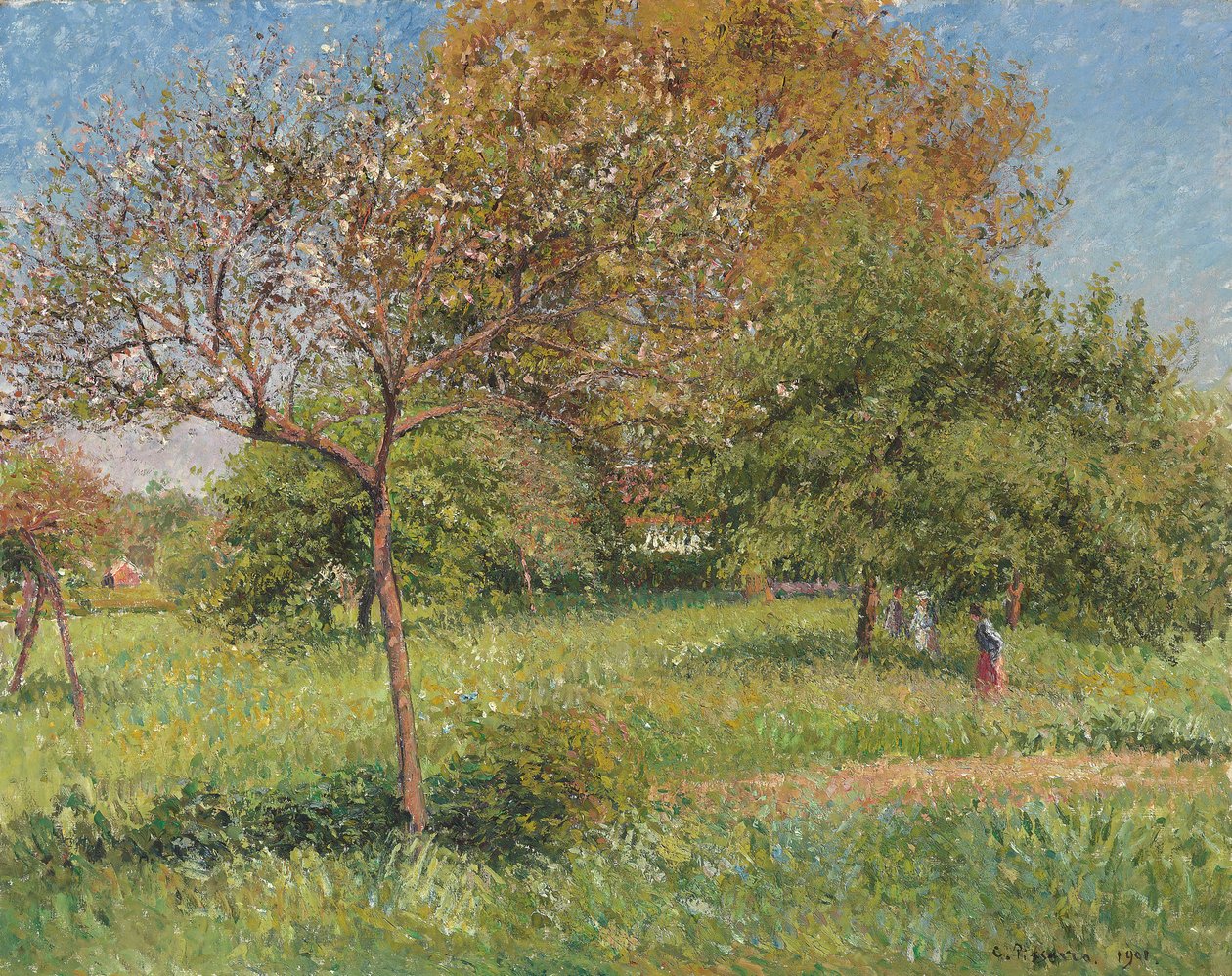 Velký Ořešák, Ráno, Eragny; Le Grand Noyer, Ráno, Eragny, 1901 od Camille Jacob Pissarro