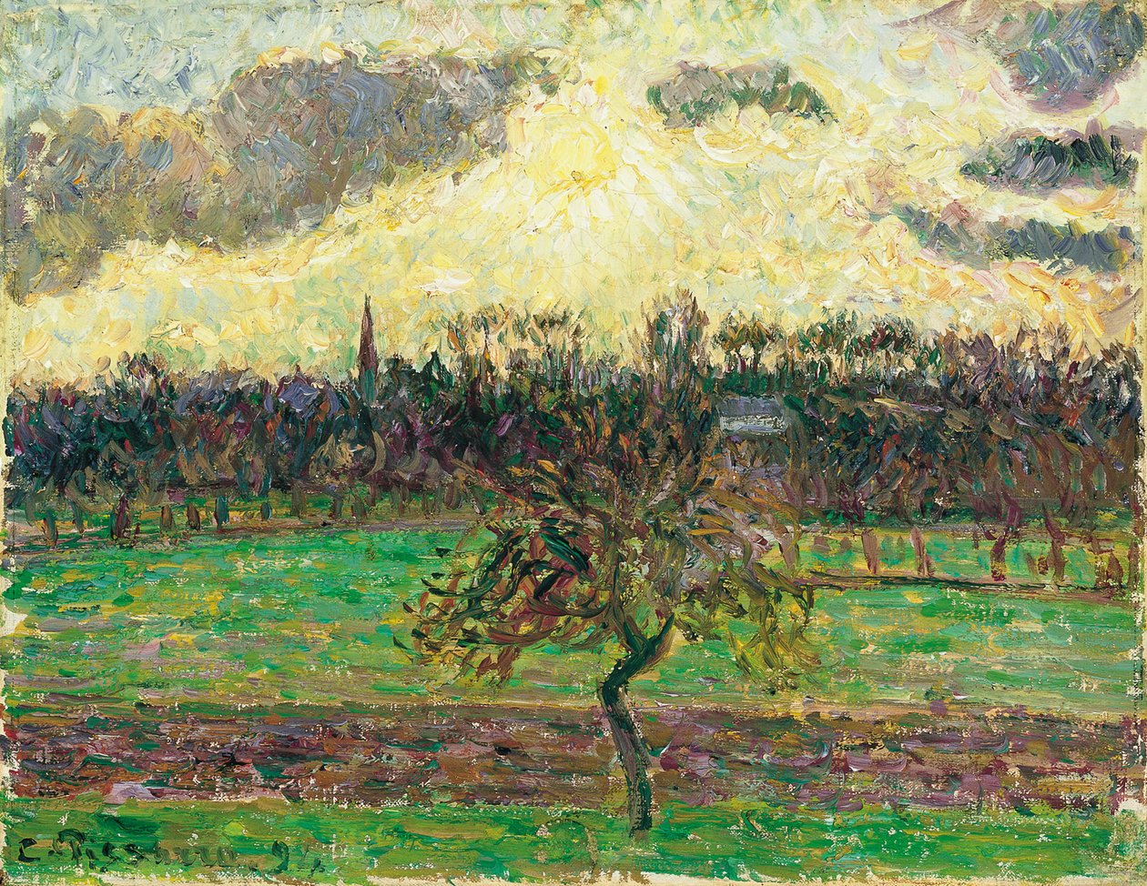 Meadows at Éragny, Apple Tree, 1894 od Camille Jacob Pissarro