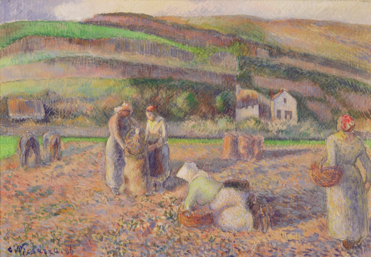 Sklizeň brambor, 1886 od Camille Jacob Pissarro