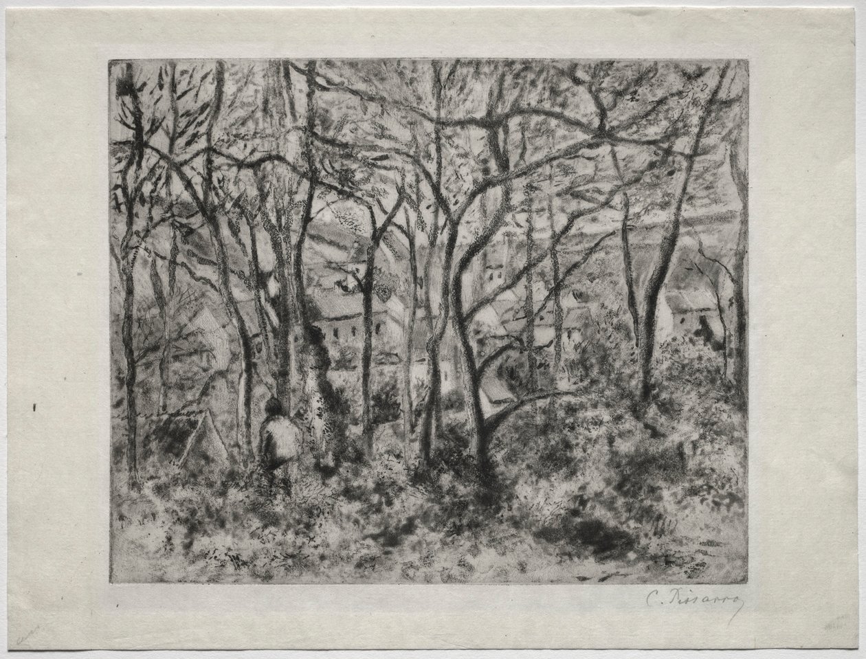 Zalesněná krajina v LHermitage, Pontoise, 1879. od Camille Jacob Pissarro