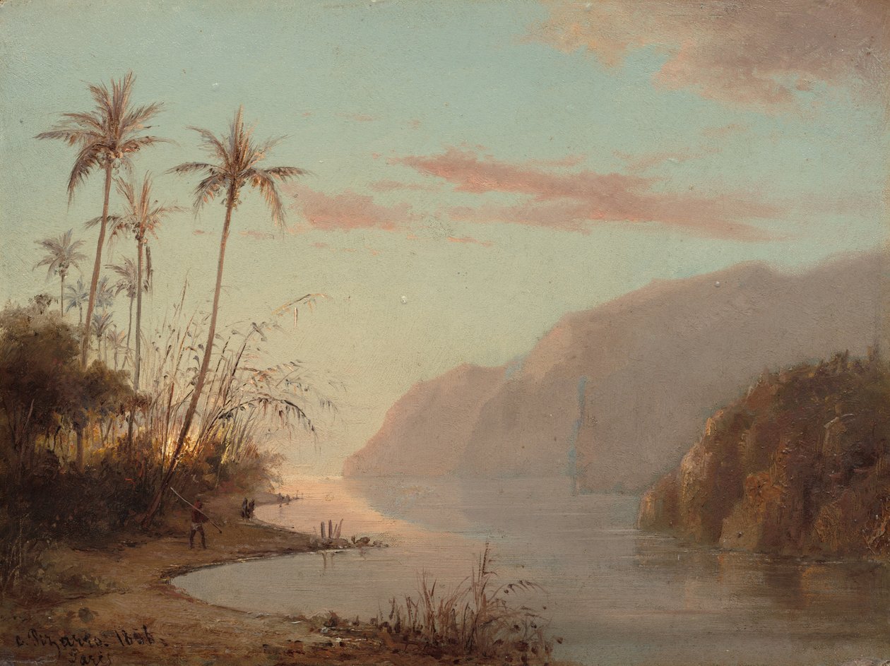 A Creek v St. Thomas Virgin Islands, 1856. od Camille Pissarro