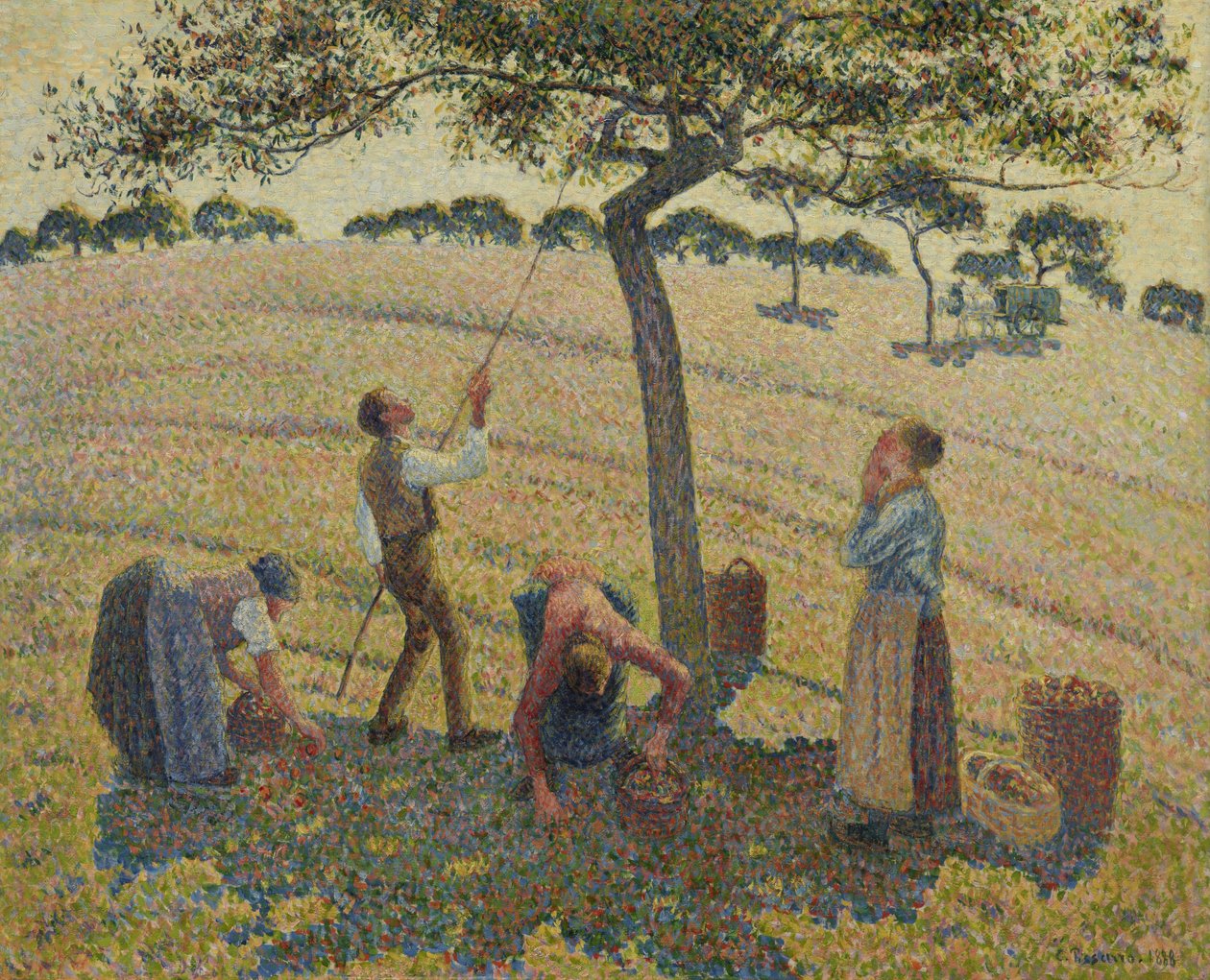 Sklizeň jablek od Camille Jacob Pissarro
