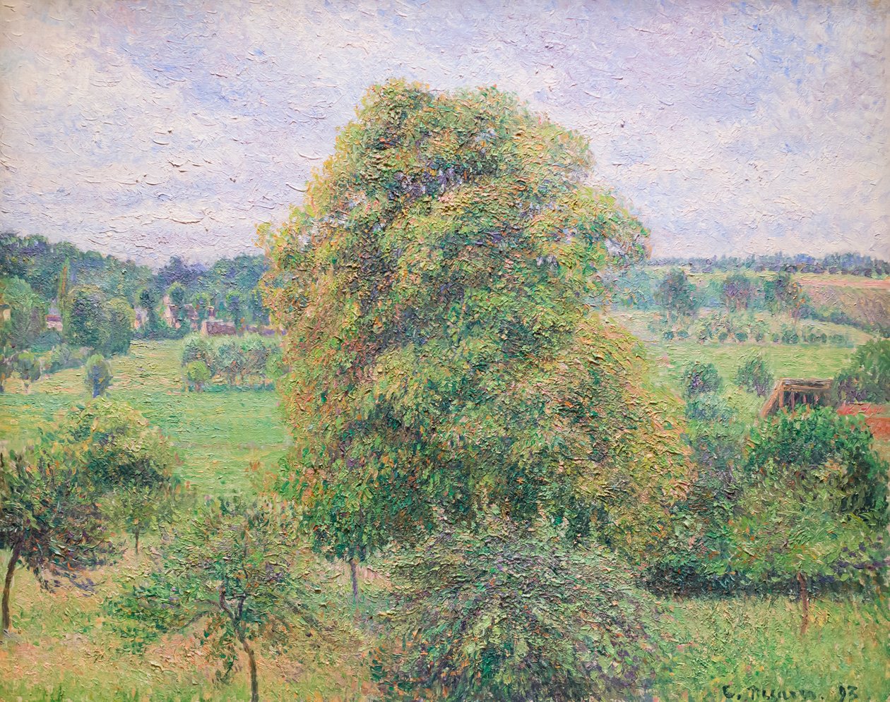 Velký ořech v Eragny od Camille Pissarro