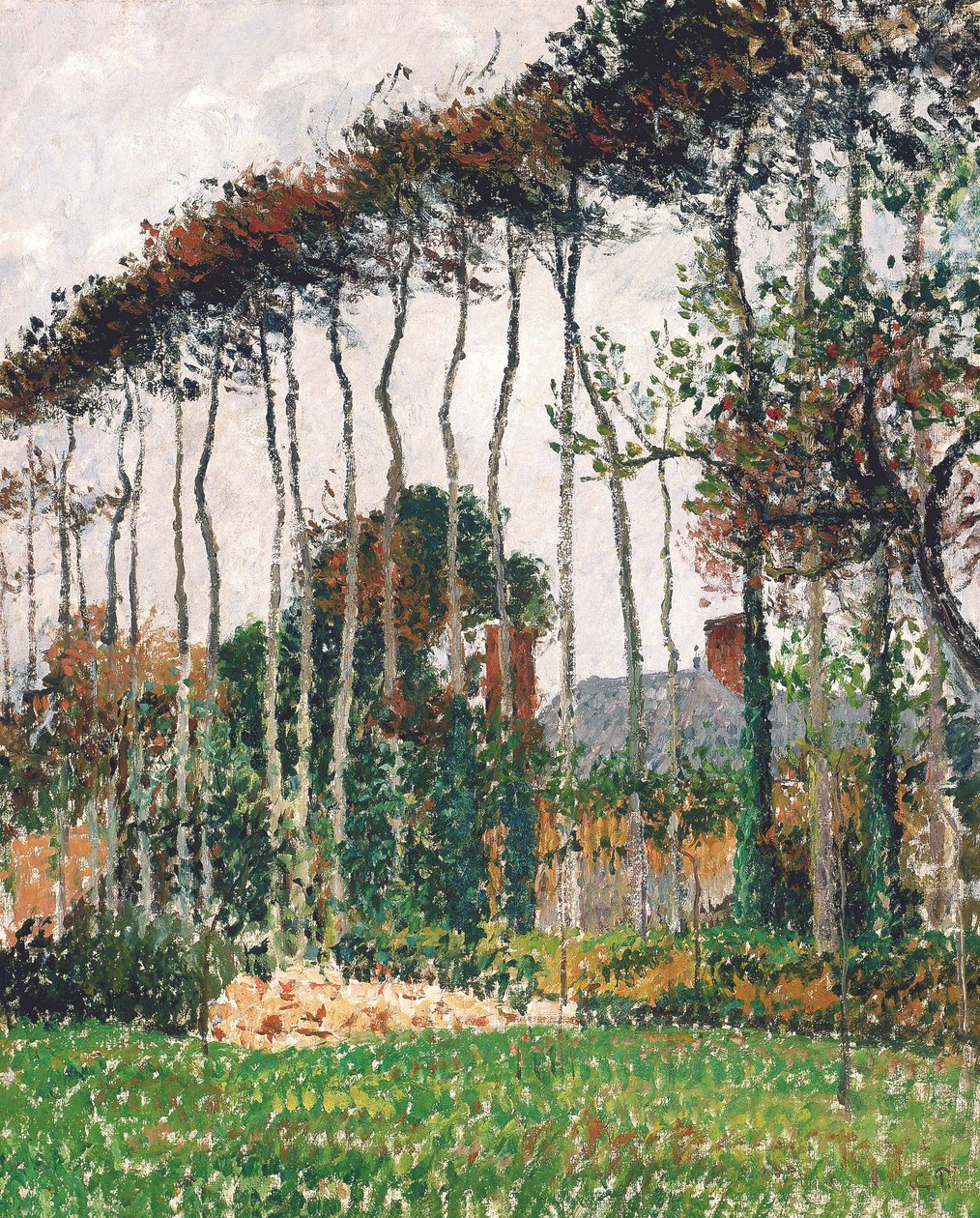 Francouzsky: Les grands hêtres à Varengeville
německy: Velké měděné buky ve Varengeville od Camille Pissarro