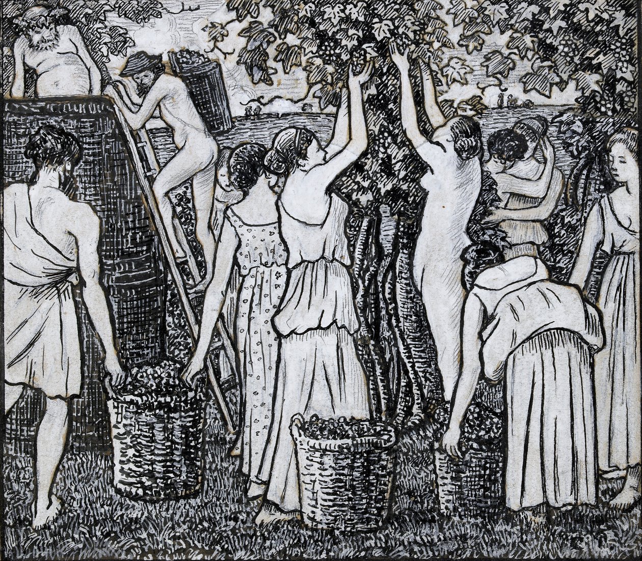 Sklizeň hroznů, kompoziční studie pro ilustraci k 