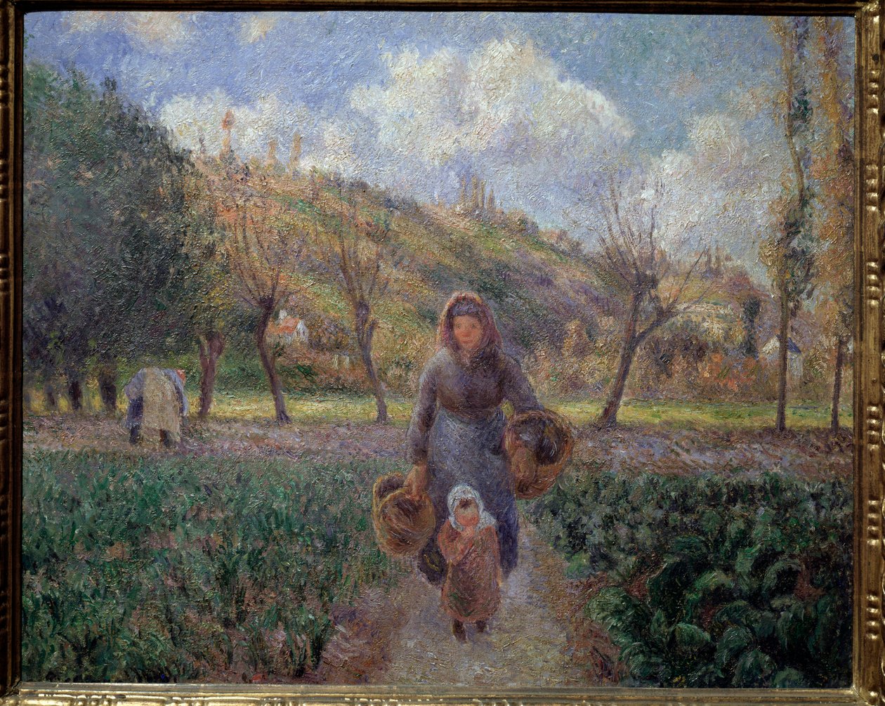 V zeleninové zahradě Obraz Camille Pissarro (1830-1903) 1881 Rozměr 45,5x55 cm Praha Národní galerie od Camille Jacob Pissarro