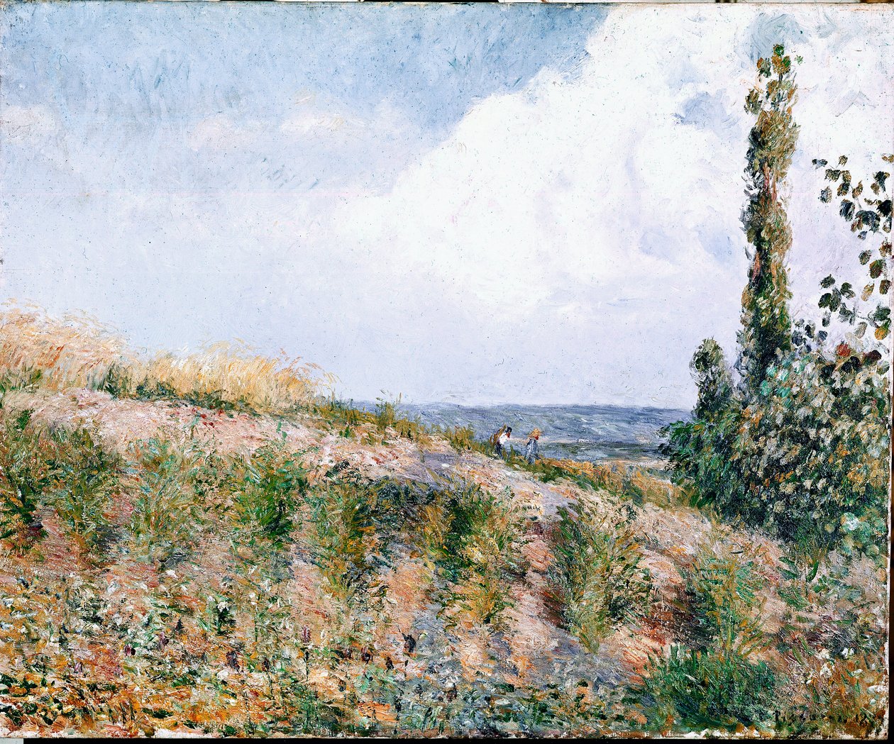 Krajina (olej na plátně) od Camille Jacob Pissarro