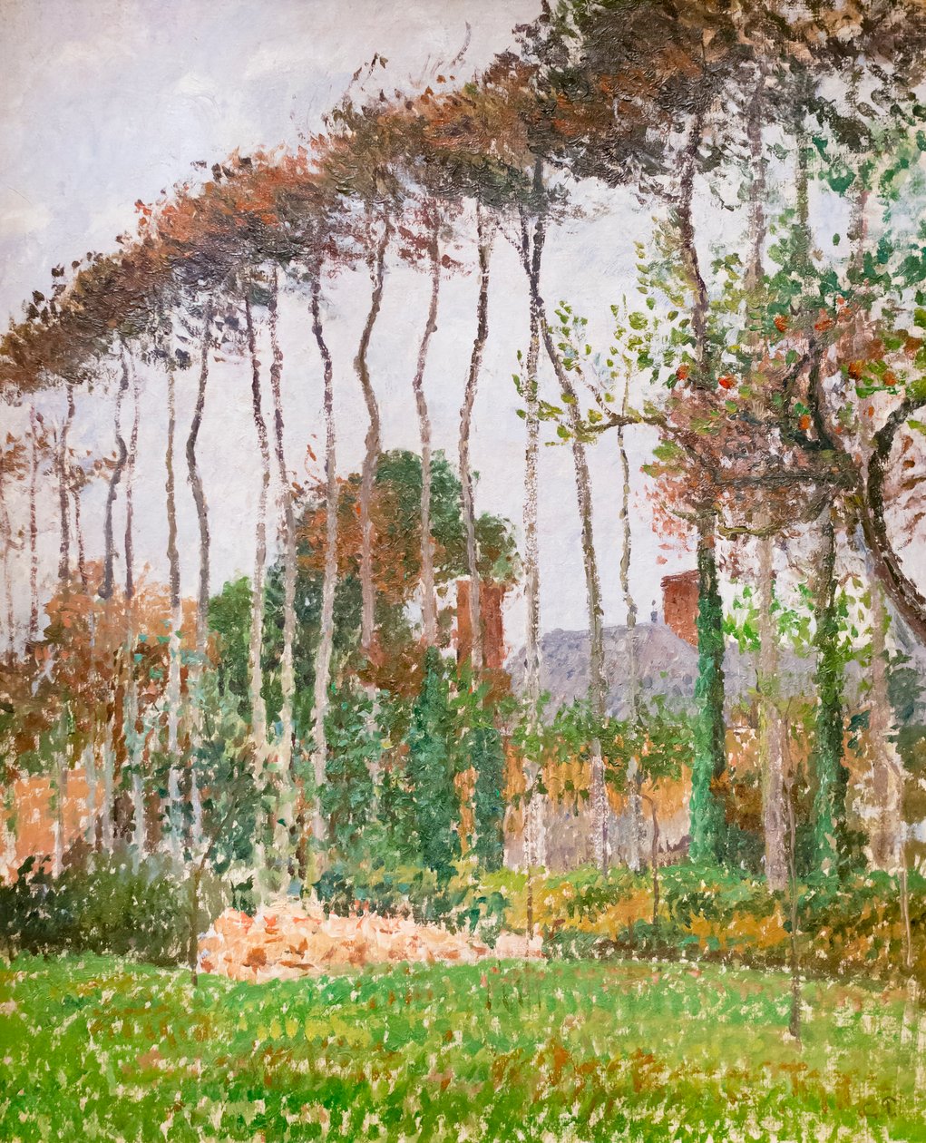 Krajina ve Varengeville, c. 1889 (olej na plátně) od Camille Pissarro