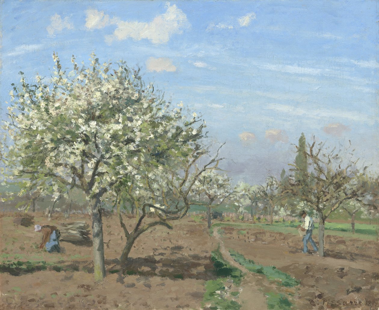 Orchard in Bloom, Louveciennes od Camille Jacob Pissarro