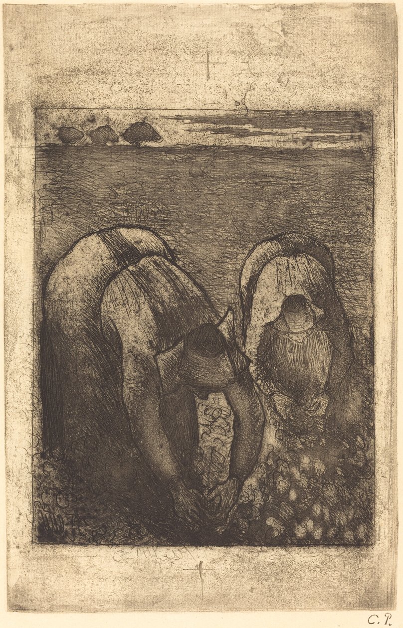 Rolníci na poli fazolí od Camille Pissarro