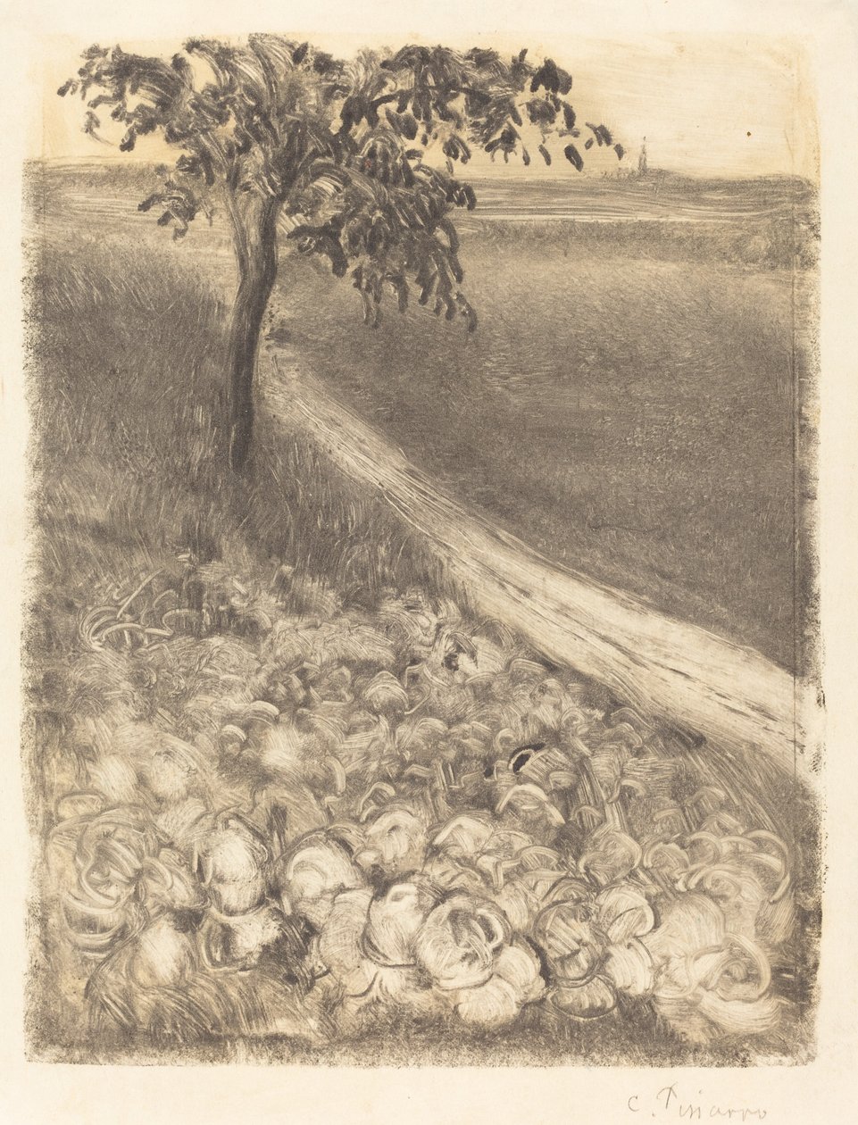 Cesta polem zelí, c. 1880. od Camille Pissarro