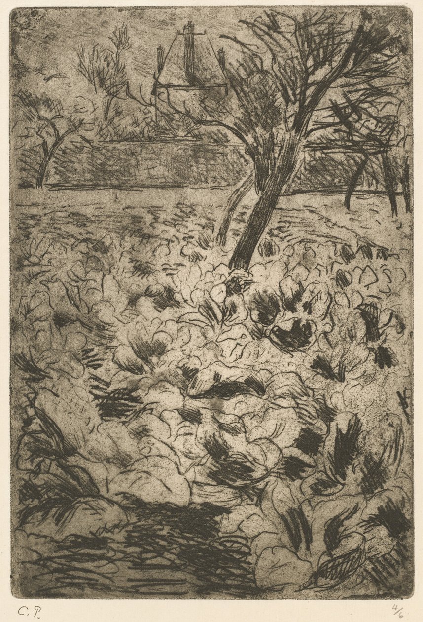 Zelné pole Zelné pole, c. 1880. od Camille Pissarro