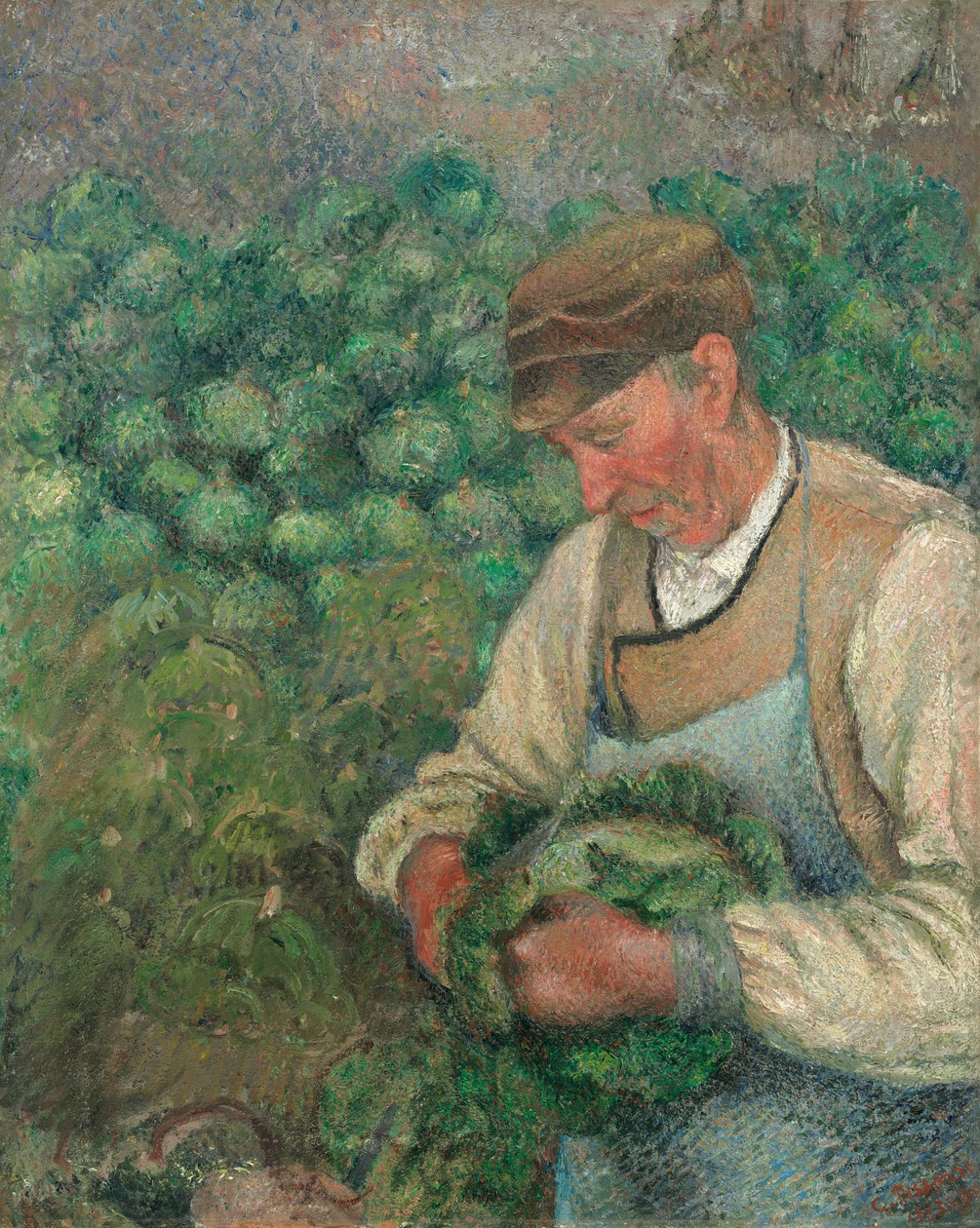 Zahradník - Starý sedlák se zelím od Camille Pissarro
