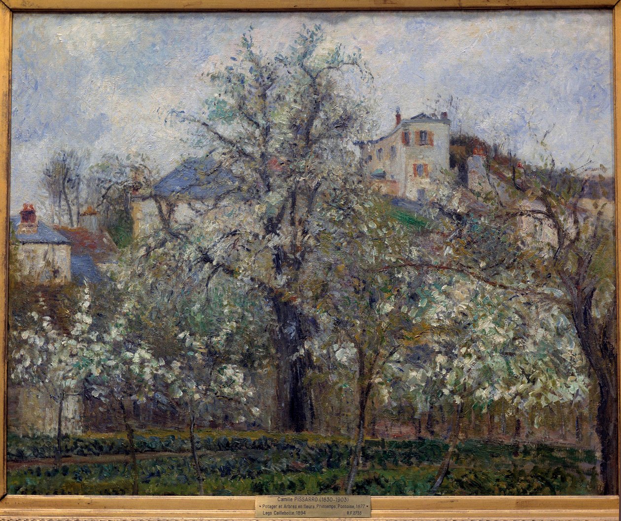 Zeleninová zahrada a stromy v květu na jaře v Pontoise (kvetoucí švestky) Obraz Camille Pissarro (1830-1903). 1877. Rozm. 0,65 x 0,81 m. Paříž, Musee d