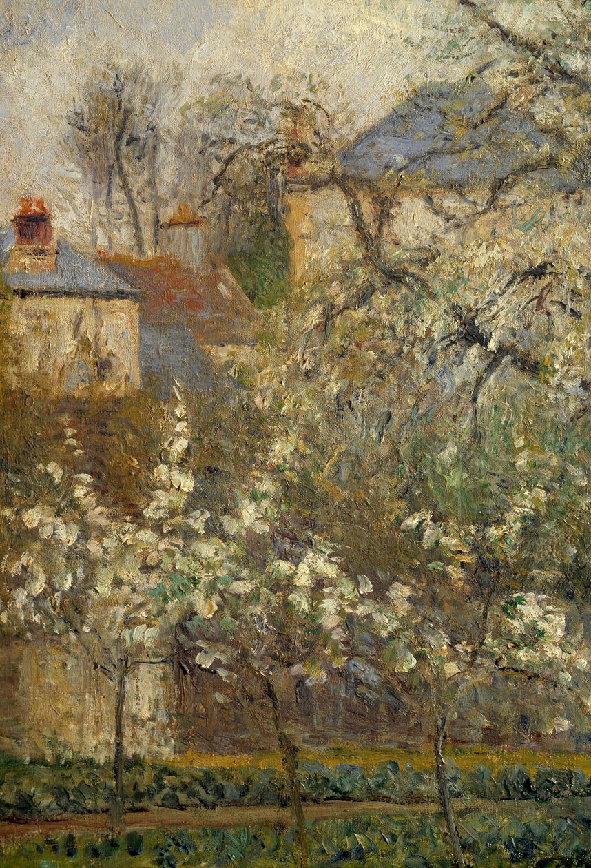 Zeleninová zahrada a stromy v květu na jaře v Pontoise od Camille Jacob Pissarro