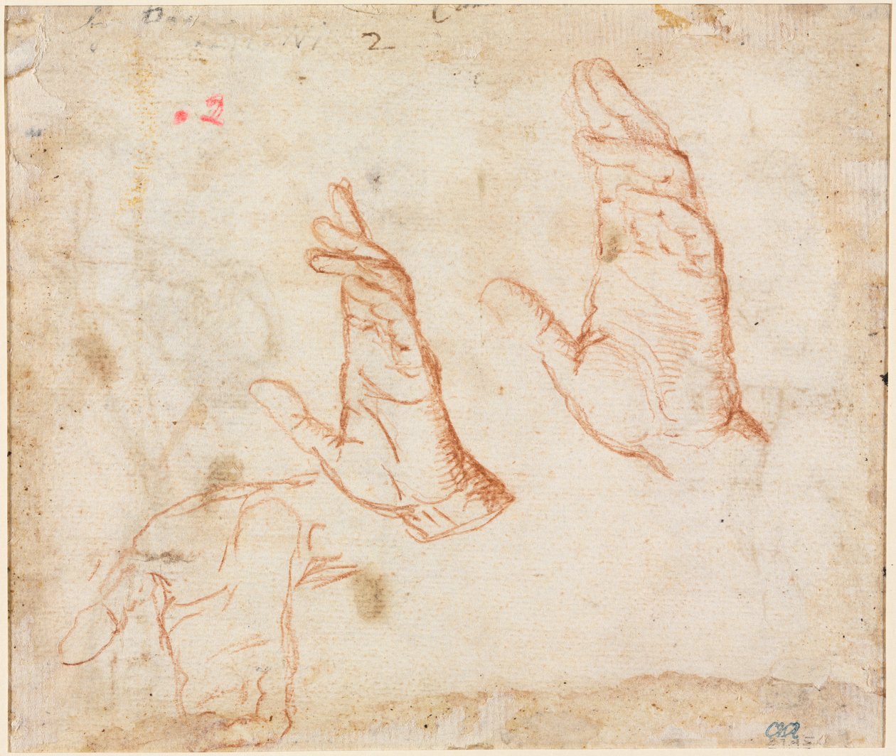 Studium rukou (verze) od Camillo Procaccini