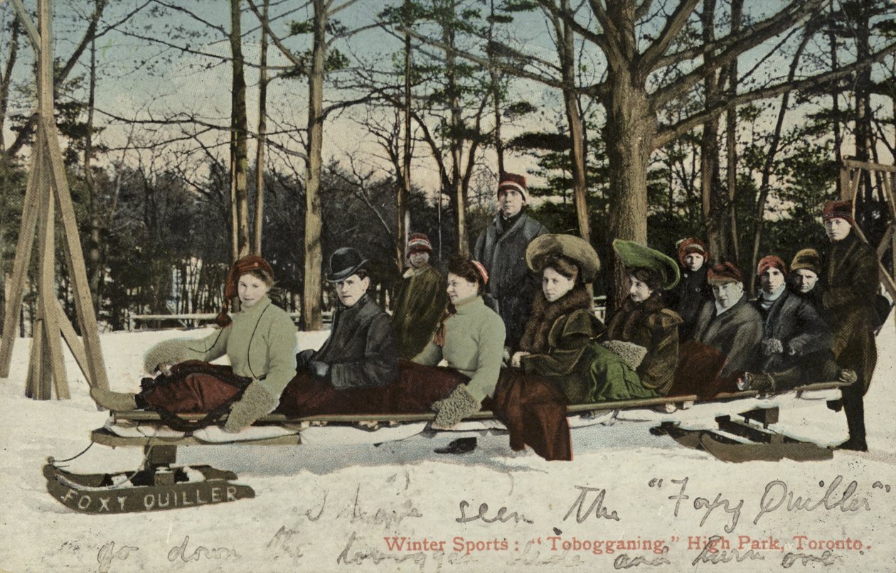 Sáňkování, High Park, Toronto, Kanada (barevné foto) od Canadian Photographer
