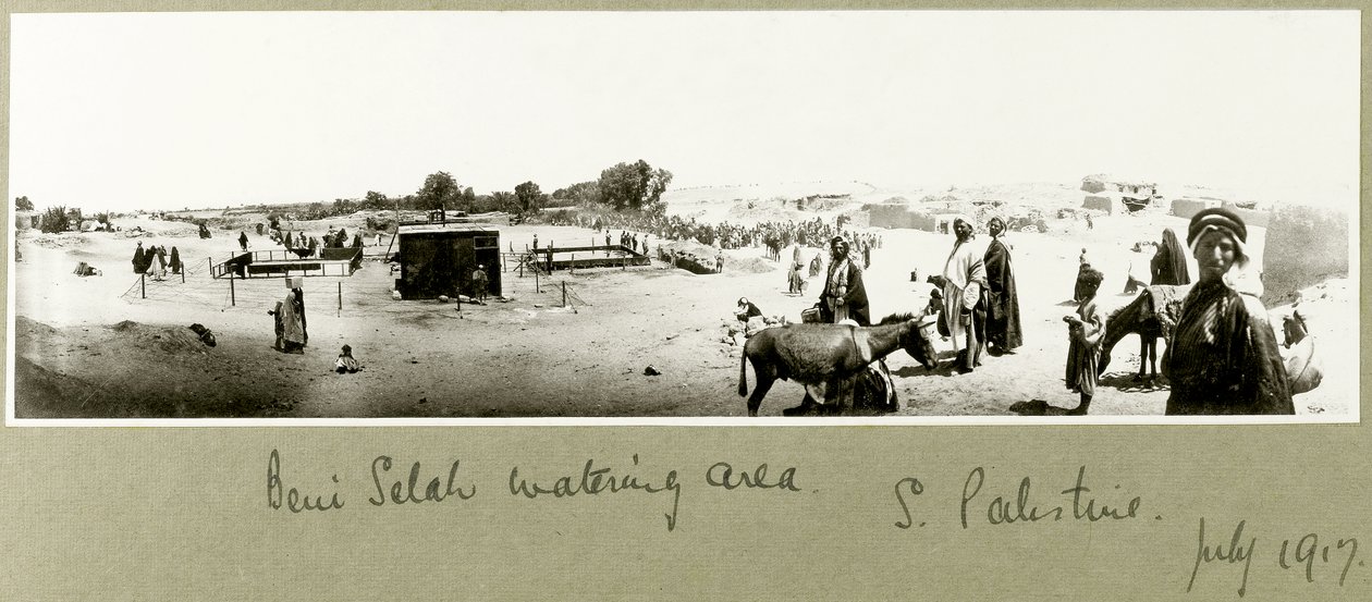 Zavlažovací oblast Beni Saleh, červenec 1917 od Capt. Arthur Rhodes