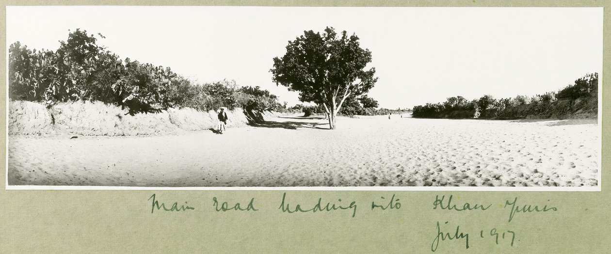 Hlavní silnice vedoucí do Khan Yunis, červenec 1917 od Capt. Arthur Rhodes