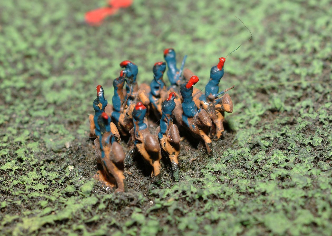 Diorama bitvy u Waterloo zobrazující jednotky umístěné 18. června 1815 v 19:45 hodin (kombinovaná média) (detail) od Capt. William Siborne