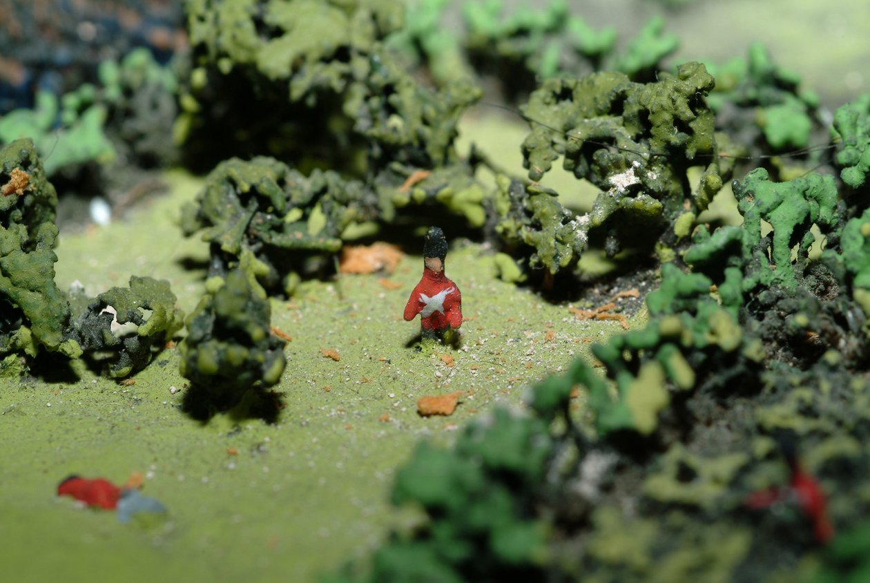 Diorama bitvy u Waterloo zobrazující jednotky umístěné 18. června 1815 v 19:45 (kombinovaná média) (podrobnosti) od Capt. William Siborne