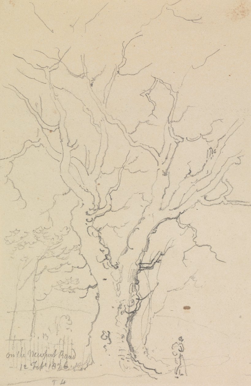 Na Newport Road, 12. února 1826 od Capt. Thomas Hastings