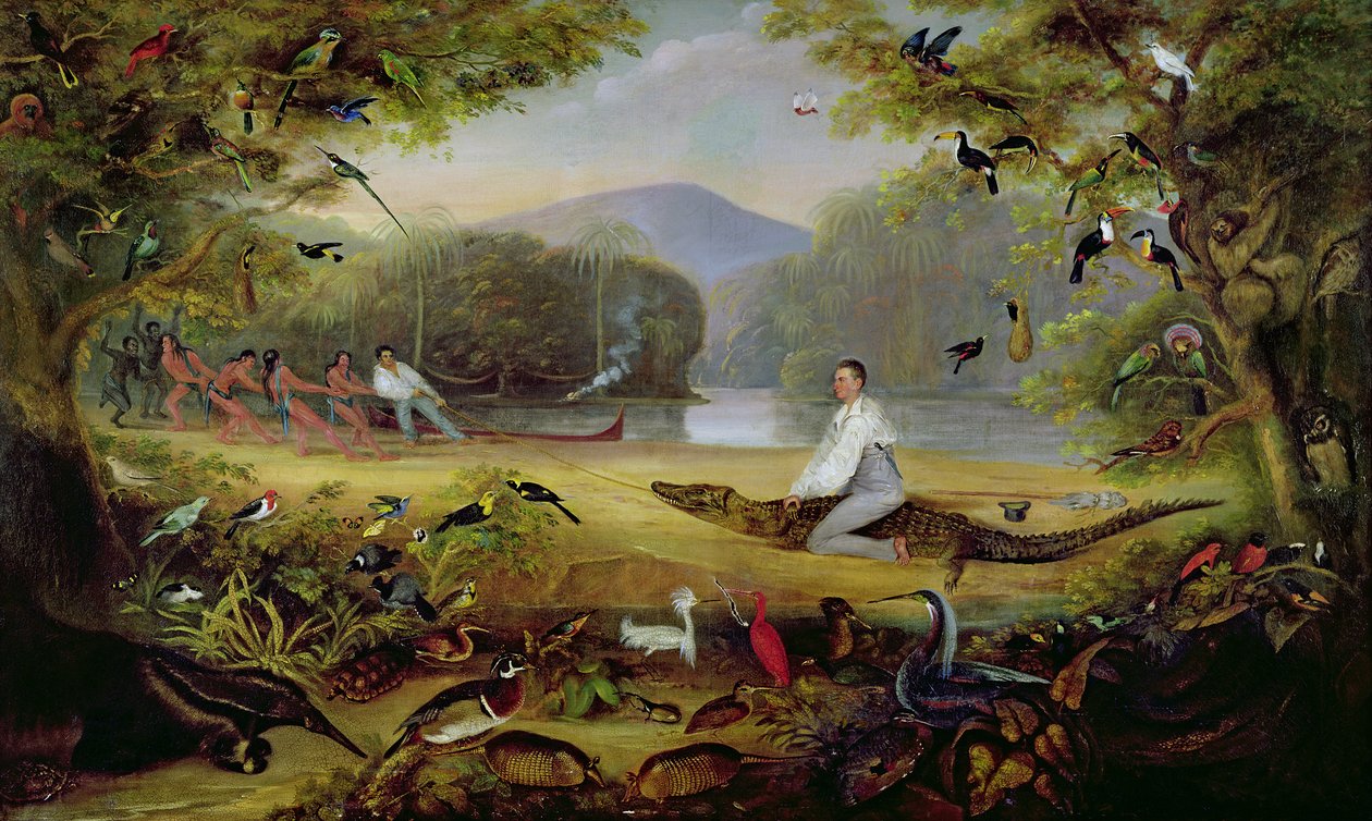 Charles Waterton při lovu kajmanů, 1825-26 od Captain Edward Jones