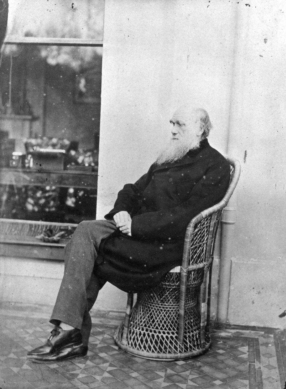 Charles Darwin od Captain L. Darwin