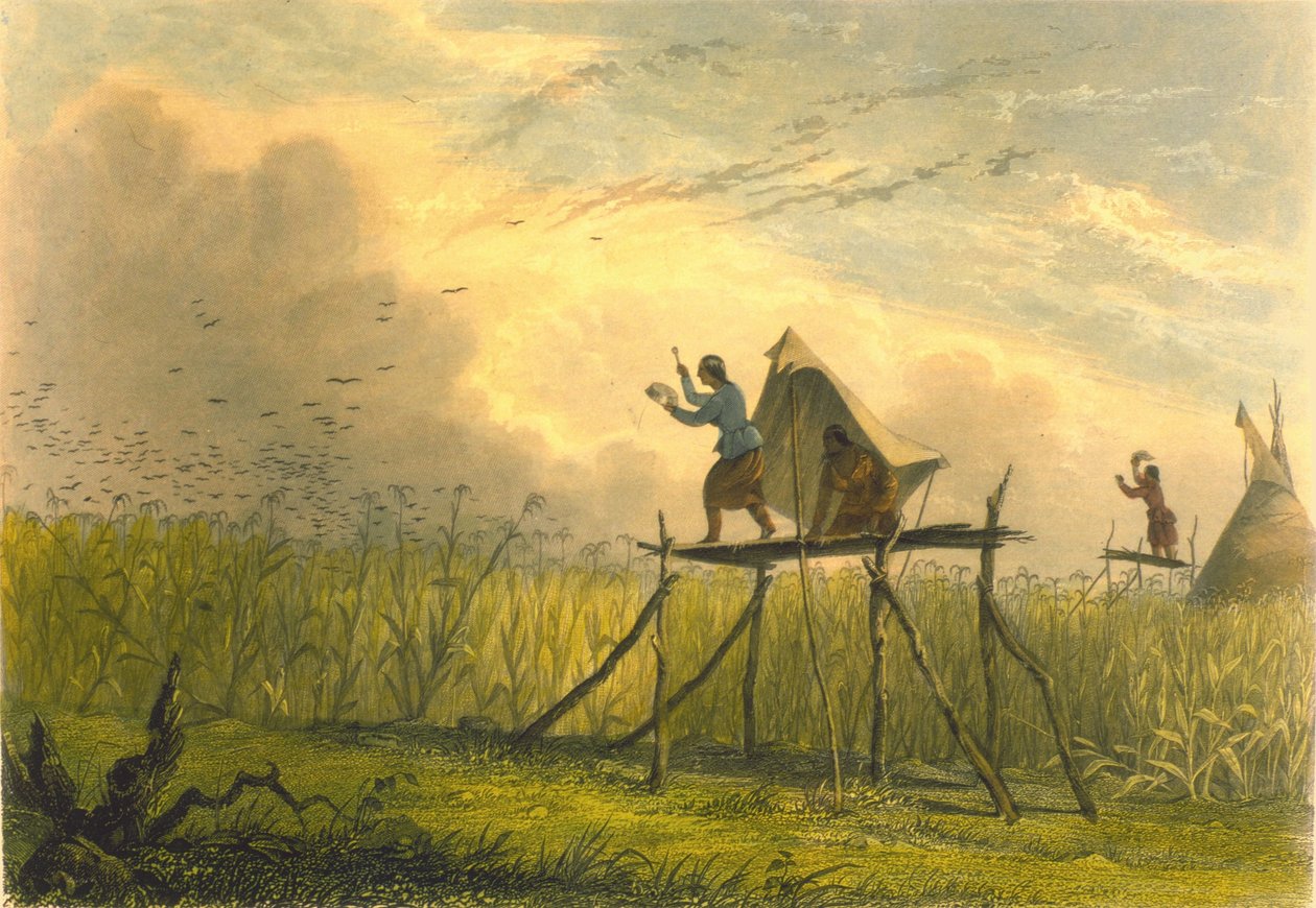 Stráž kukuřičných polí, 1853 od Captain Seth Eastman