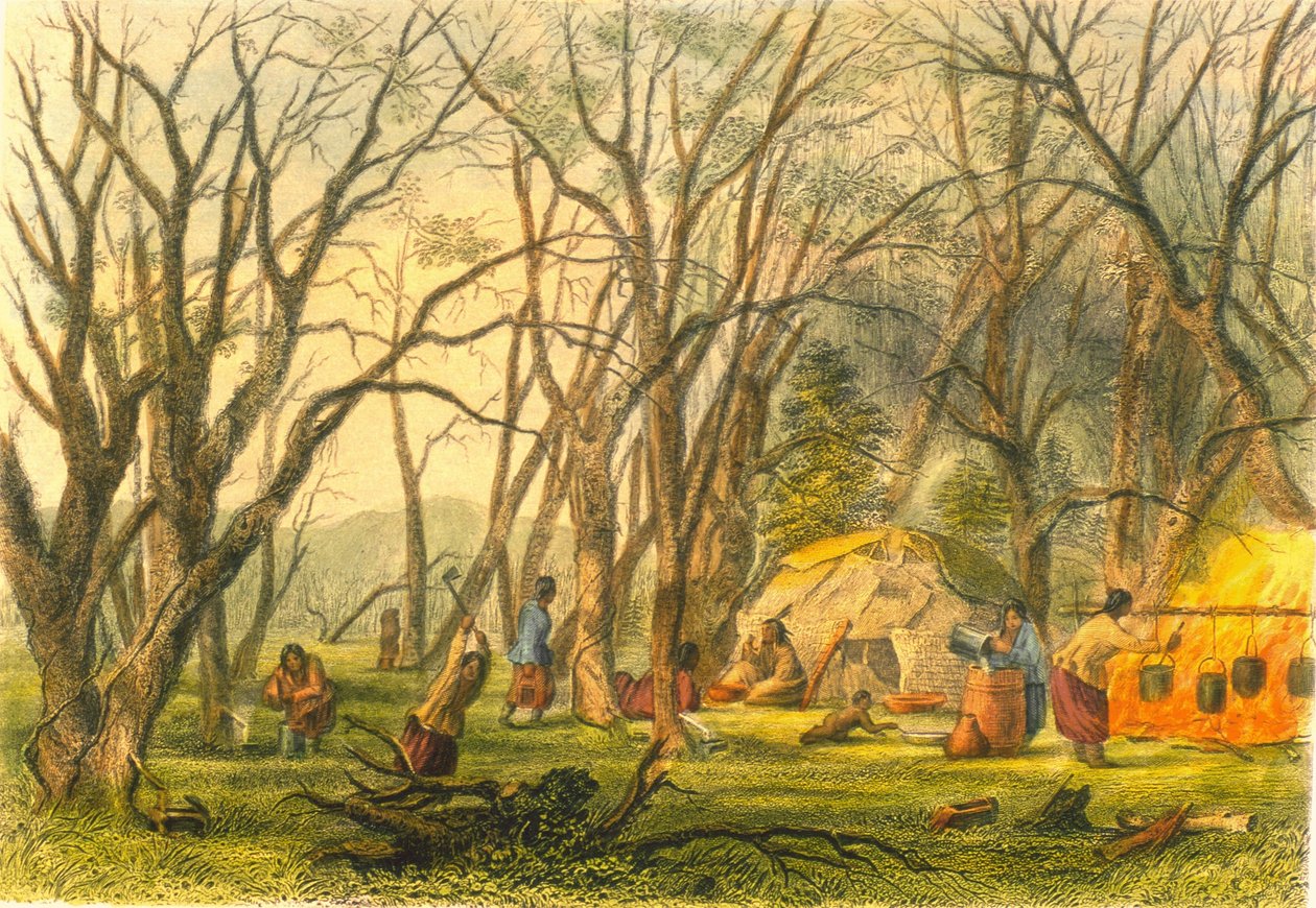 Indian Sugar Camp, 1853 od Captain Seth Eastman