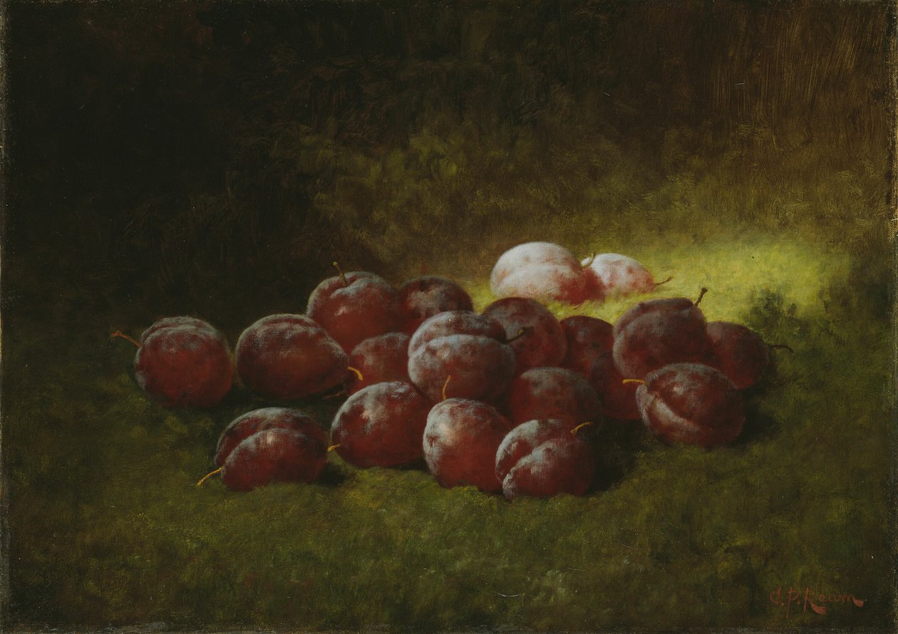 Fialové švestky, 1895. od Carducius Plantagenet Ream