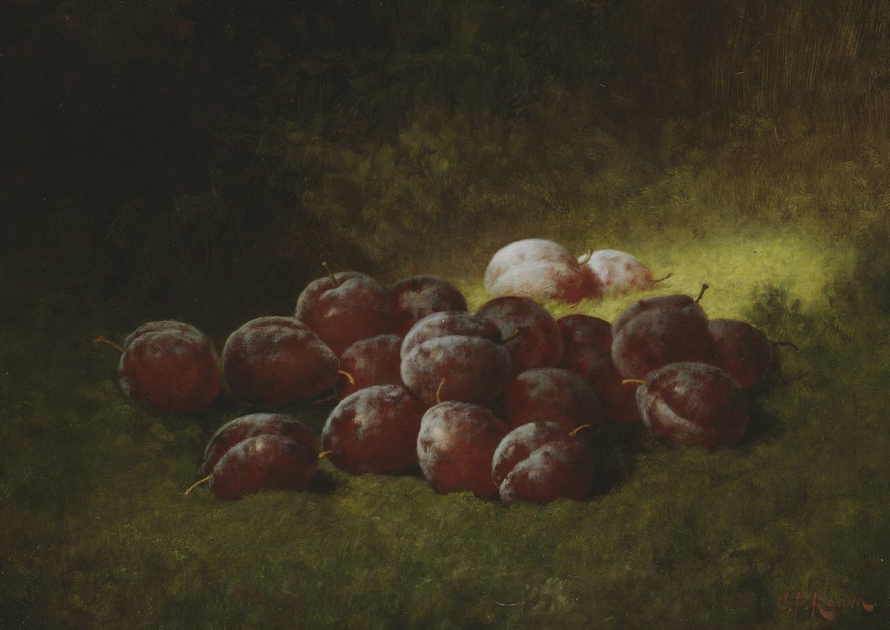 Fialové švestky, 1895 od Carducius Plantagenet Ream