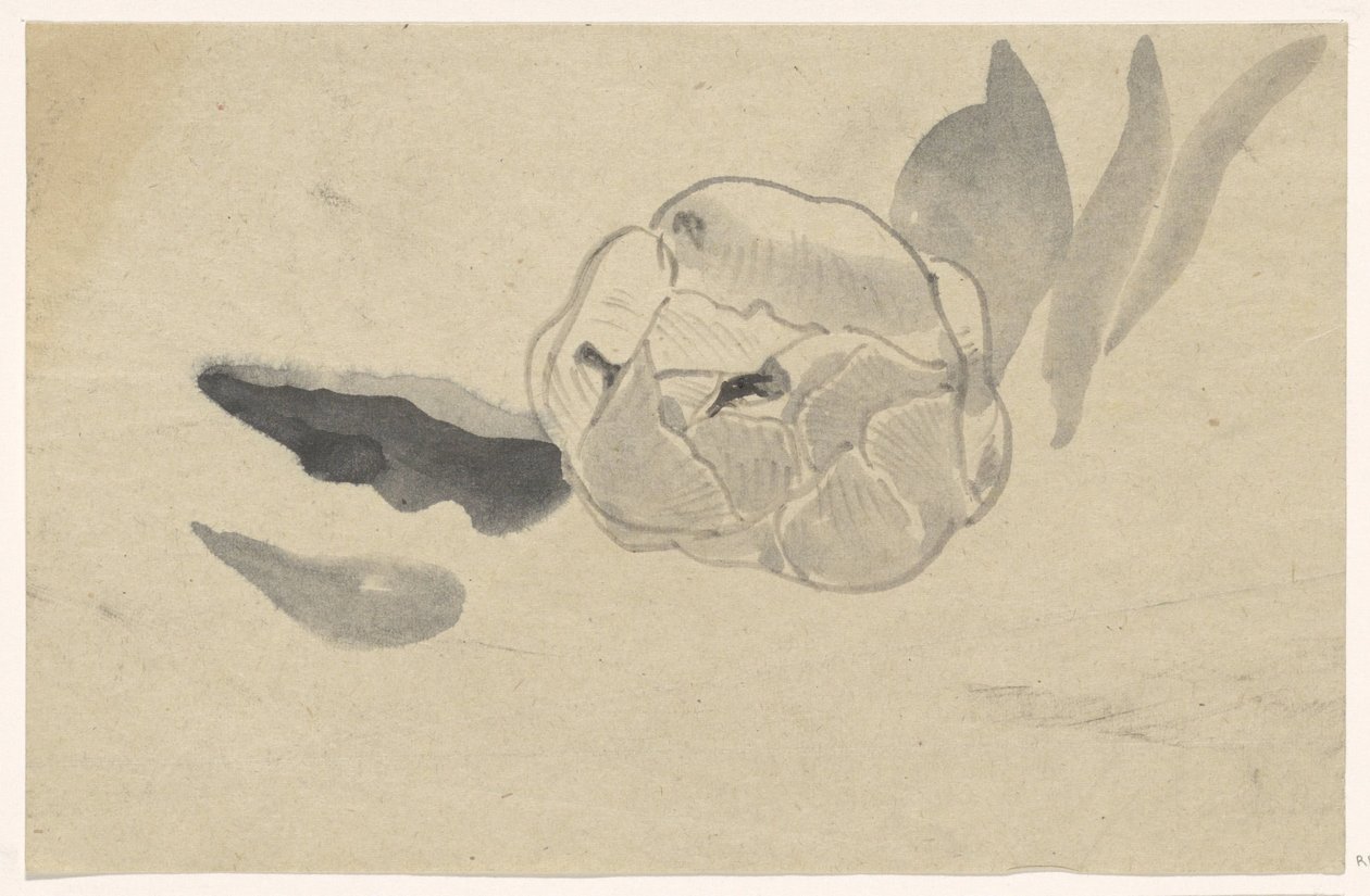 Květinová studie od Carel Adolph Lion Cachet