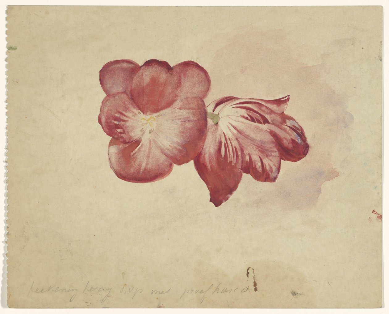 Dva červené tulipány od Carel Adolph Lion Cachet