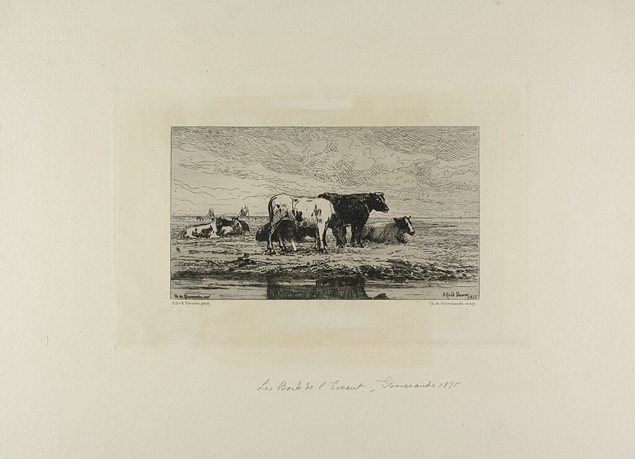 Banka Escaut od Carel Nicholaas Storm van Gravesunde