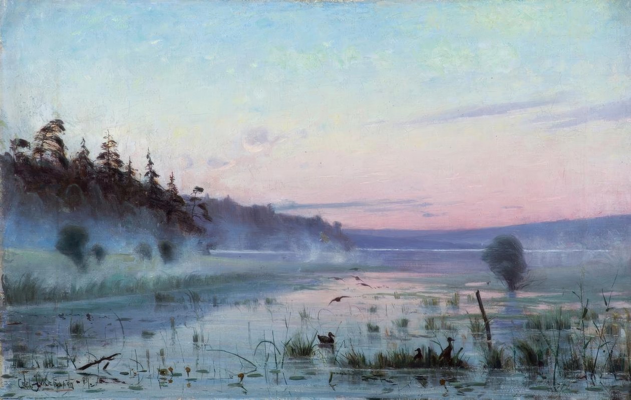 C.Johansson, ranní mlha nad jezerem od Carl Johansson