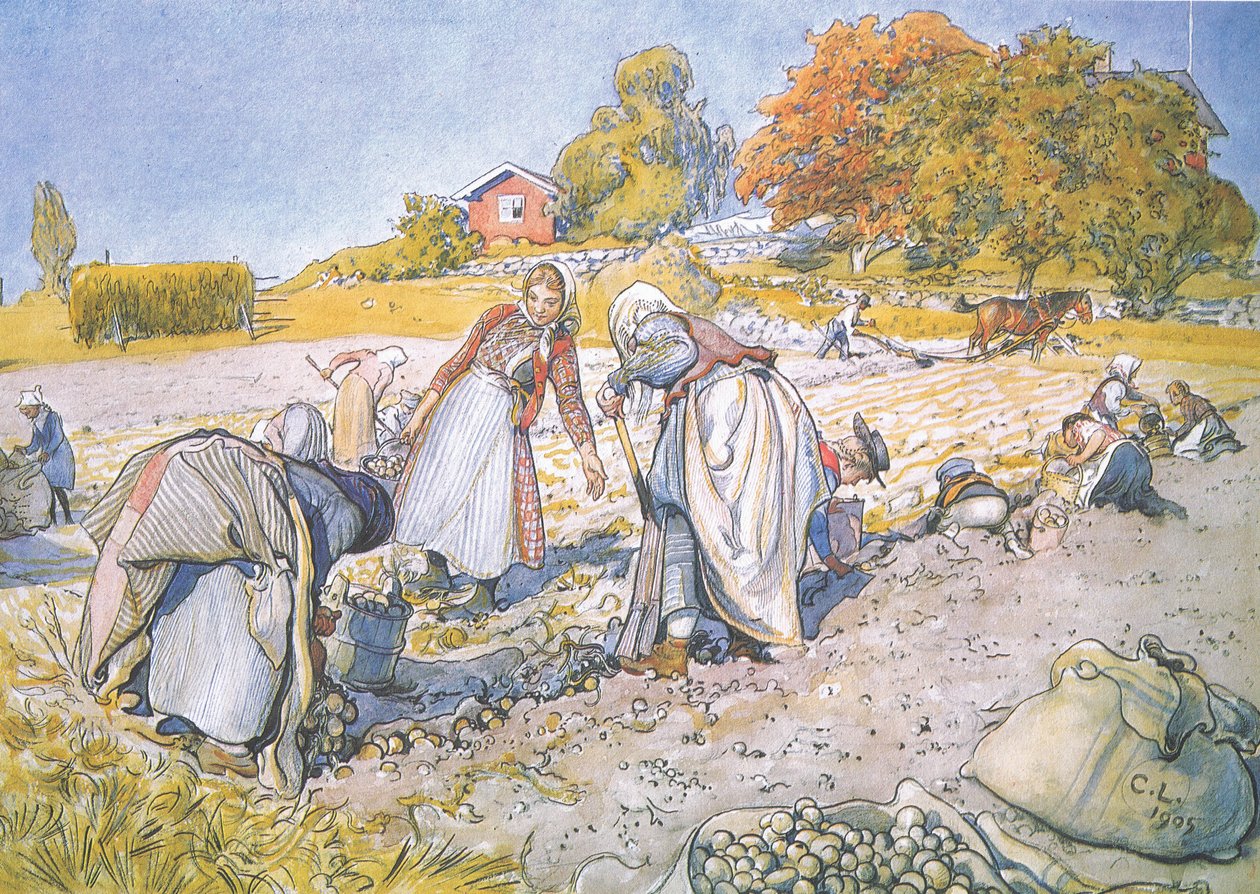 Děti naplnily kbelíky a košíky bramborami od Carl Larsson