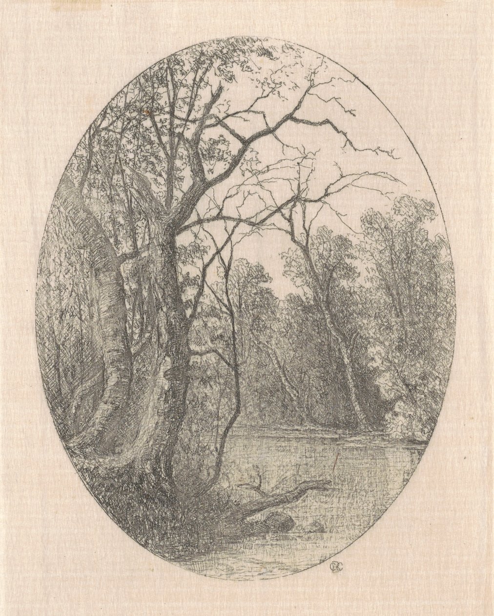 Na Laurel Creek od Carl C. Brenner