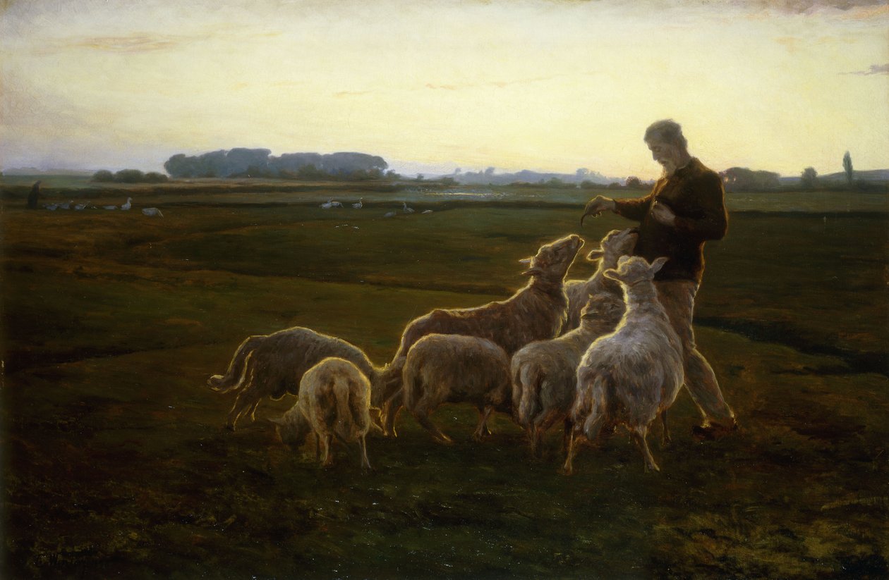 Pastýř a jeho ovce s husami dál, 1896 od Carl Christian Ferdinand Wentorf