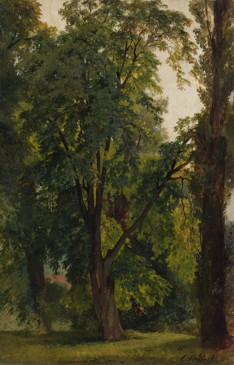 Dřevo v Konigs Wusterhausen (olej na plátně položeném na kartonu) od Carl Constantin Steffeck