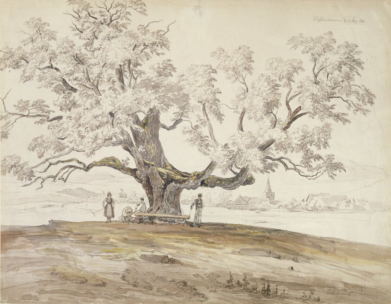Pohled na Wolfershausen bei Meiningen se starým dubem, 1844 (grafit a wc na papíře) od Carl Ernst Ludwig Wagner